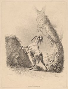 Get i ett landskap, 1805. av Adam von Bartsch