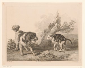 Hund och katt i stridsställning mot varandra Djur efter målningar av holländska mästare (serietitel) Différens animaux graves d