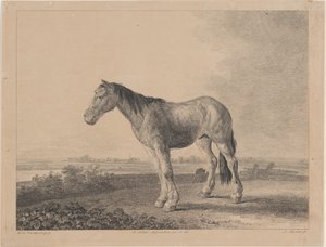 Häst stående på en åker i profil till vänster, 1809. av Adam von Bartsch