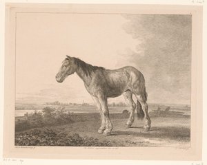Stående häst i ett flodlandskap Djur efter målningar av holländska mästare (serietitel) Différens animaux graves d