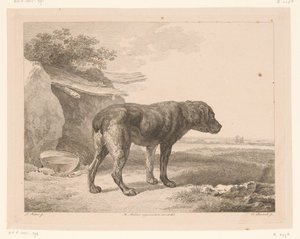 Stående hund i ett landskap Djur efter målningar av holländska mästare (serietitel) Différens animaux graves d