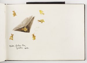Skissbok med bläck- och grafitteckningar och akvareller av Adela Breton