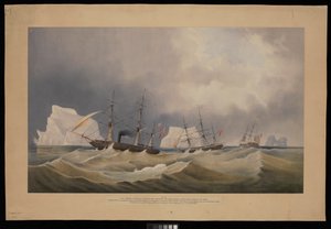 H.M.S. Phoenix med sina följeslagare Diligence och Breadalbane bland isbergen