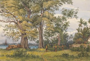 "Apia Bay, Upolu, Navigatörsöarna, [Samoa] från verandan i min sjukstuga, 6 november 1849 av Admiral Sir Edward Gennys Fanshawe