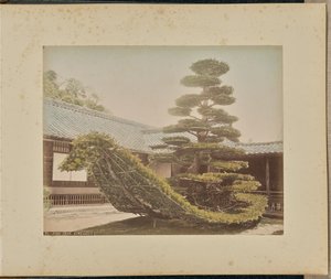 Tall, Kinkakuji av Adolfo Farsari