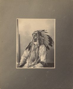 Döda fläckiga hästen, Assiniboines
