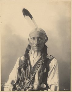White Buffalo, Cheyennes
