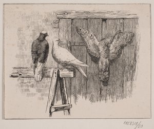 Duvorna av Johan Adolph Kittendorff