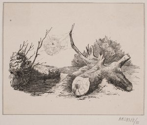 Ederkoppen av Johan Adolph Kittendorff
