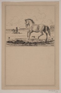Hästen i vattnet. Nej. 22 i Chr. Winther och M. Rørbye, "25 bilder för små barn" av Johan Adolph Kittendorff