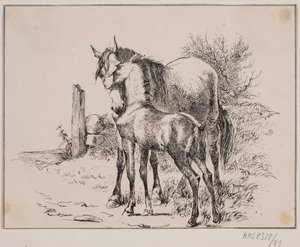 Hästen och fölet av Johan Adolph Kittendorff