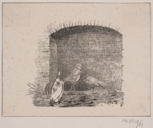 Kycklingarna och ankorna av Johan Adolph Kittendorff