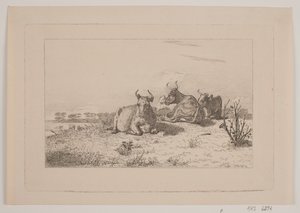 Vilande kor av Johan Adolph Kittendorff