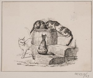 Katterna av Johan Adolph Kittendorff