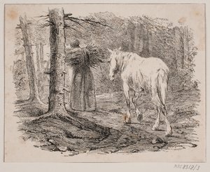 Hustrun och hästen