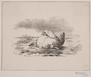 Kycklingarna av Johan Adolph Kittendorff