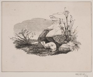 Den läckande katten av Johan Adolph Kittendorff
