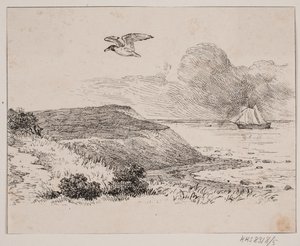 Måsen av Johan Adolph Kittendorff