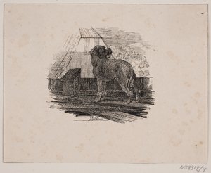 Pudelhunden av Johan Adolph Kittendorff