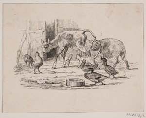 Bebiskalven av Johan Adolph Kittendorff