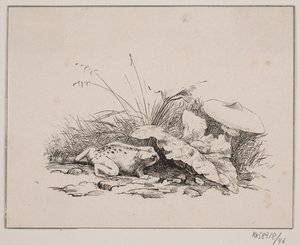 Paddan av Johan Adolph Kittendorff