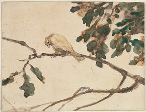 Kanariefågel på en ekgren (wc på papper) av Adolph Menzel
