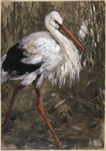 Storken i vassen. Ur ”Barnalbumet” av Adolph Menzel