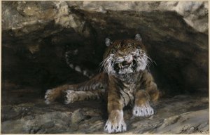 Tigern. Ur ”Barnalbumet” av Adolph Menzel
