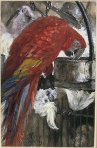 Den röda aran och kakaduerna. Ur ”Barnalbumet” av Adolph Menzel