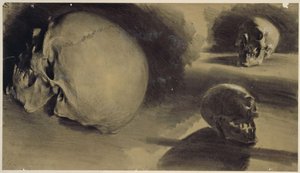 Tre vyer av en skalle av Adolph Menzel