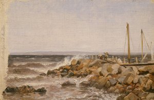 Från Kullen i Sverige av Adolph Tidemand