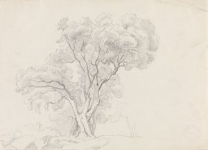 Lövträd av Adolph Tidemand