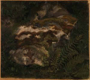 Studie av en mossbevuxen sten och ormbunkar av Adolph Tidemand