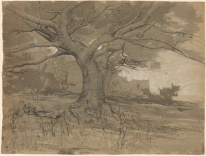 Ett stort bokträd vid kanten av en skog av Adolphe Appian