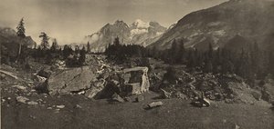 [Alpine Landscape] av Adolphe Braun