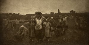 Kallar in Gleaners av Adolphe Braun