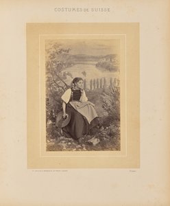 Kantonen Schaffhausen av Adolphe Braun