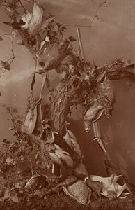 [Still Life: Dead Game] av Adolphe Braun