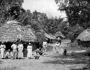 Inhemska hyddor, Jamaica, c1905.