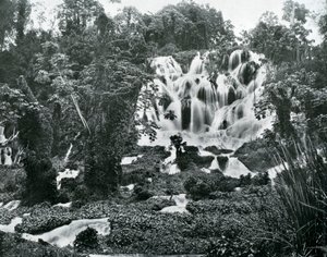 Roaring River Falls, Jamaica, c1905. av Adolphe Duperly and Son