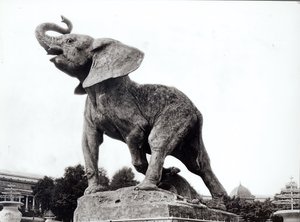 Ung elefant fångad i en fälla (1878) av Emmanuel Fremiet (1824-1910) framför Trocadero-palatset, som byggdes för världsutställningen (1878), Paris 1888. av Adolphe Giraudon