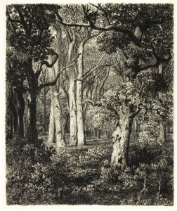 Old Oaks vid Bas Bréau