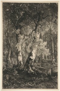 Bokarna