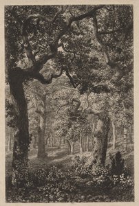 I skogen