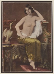 Favoriten, kvinna med en fågel (färg litho) av Adolphe Weisz