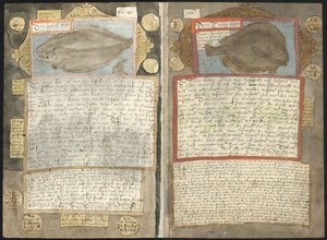 Adriaen Coenens Visboeck