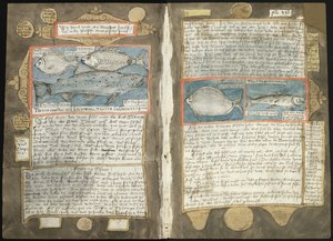 Adriaen Coenens Visboeck - KB 78 E 54 - folios 339v (vänster) och 340r (höger)