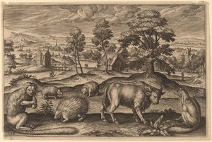 En apa, ett piggsvin, två igelkottar, en buffel och en räv av Adriaen Collaert