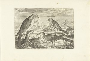 Tre fåglar i ett landskap Avium Vivae (serietitel) Fåglar (serietitel) av Adriaen Collaert