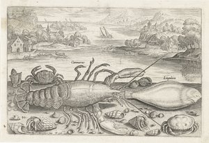En fisk och några kräftdjur på stranden Fiske (serietitel) Piscivm vivae-ikoner (serietitel) av Adriaen Collaert
